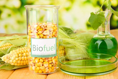 Efford biofuel availability