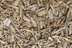 biomass boilers Efford