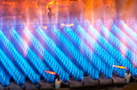 Efford gas fired boilers